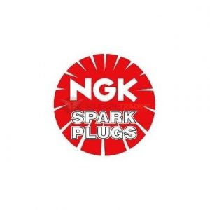 NGK Spark Plugs