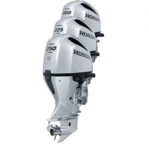 BF175D BF200D BF225D BF250D